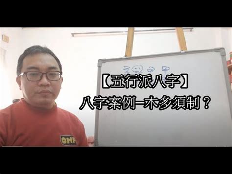 八字木旺|八字木多的人命运如何 八字木多的人有什么特点